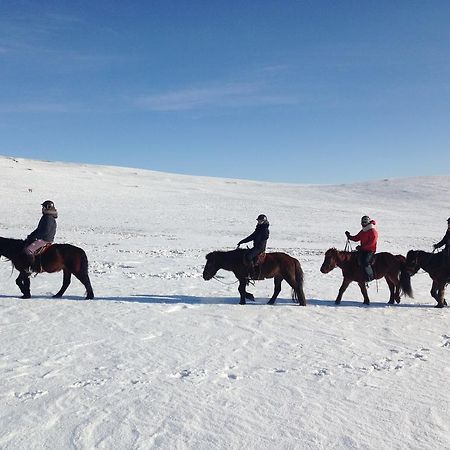 Nomad Horse Camp Pensionat Nalayh Exteriör bild