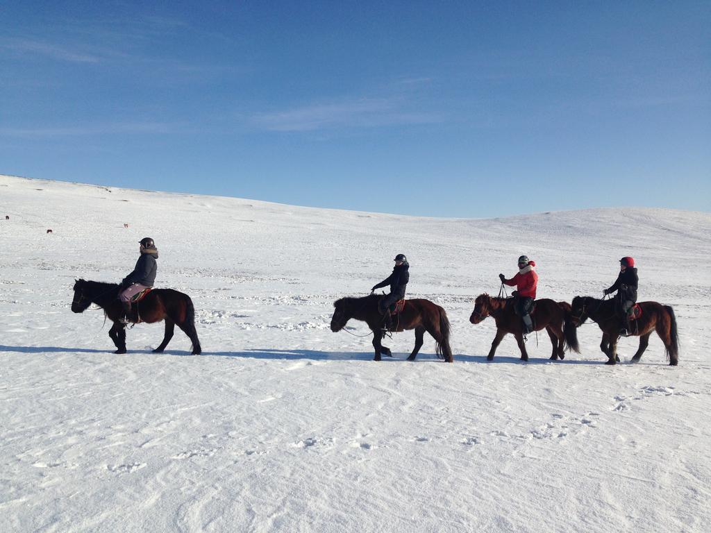 Nomad Horse Camp Pensionat Nalayh Exteriör bild